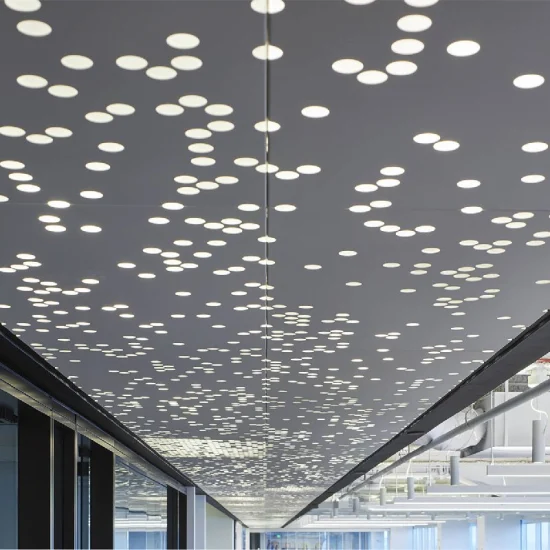Building Material Customized False Perforated Aluminum Metal Ceiling